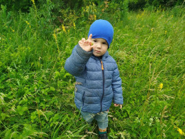 Экскурсия в лес «Мы любим природу» Экскурсия в лес «Мы любим природу».